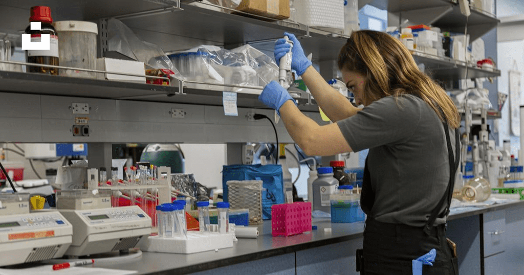 Investigação laboratorial relacionada com proteínas salivares e experiência alimentar